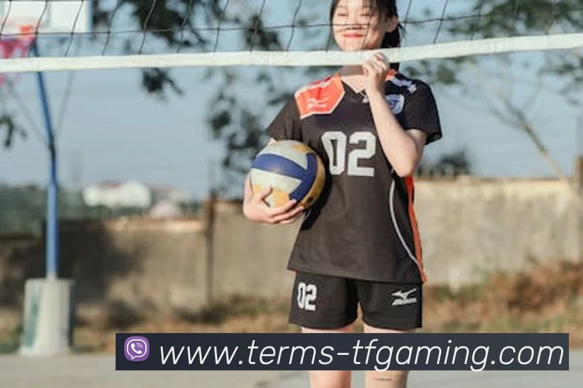 雷火电竞APP服务体系